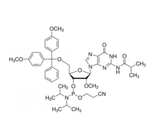 DMT-2'O-Methyl-rG (ib) Фосфорамидит, настроенный для PerkinElmer, настроенный для Polygen Sigma G211180