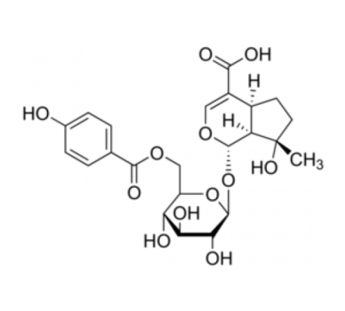 6 '- (п-Гидроксибензоил) муссаенозидовая кислота 95% (ЖХ / МС-ELSD) Sigma SMB00159