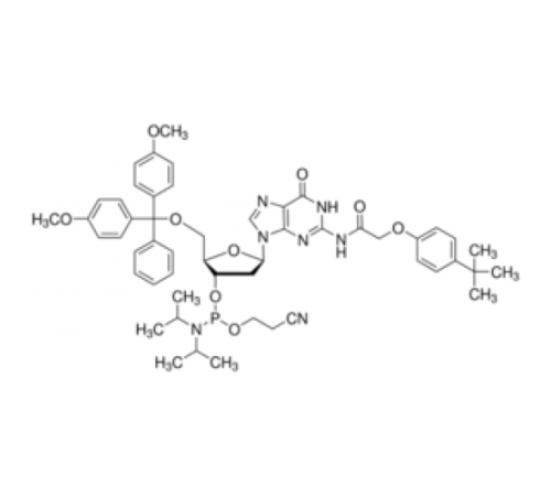 DMT-dG (tac) Фосфорамидит, настроенный для PerkinElmer 8900, настроенный для Polygen Sigma G11208-HH