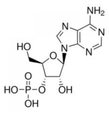 Аденозин-3'-монофосфат дрожжей Sigma A9272