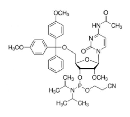 DMT-2'O-Methyl-rC (ac) Phosphoramidite, настроенный для PerkinElmer, настроенный для Polygen Sigma C213180