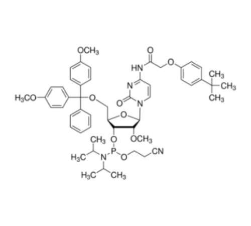 DMT-2'O-Methyl-rC (tac) Phosphoramidite, настроенный для ABI Sigma C212130