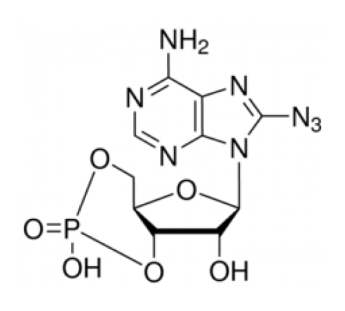8-Азидоаденозин 3 ': 5'-циклический монофосфат ~ 95% Sigma A1262