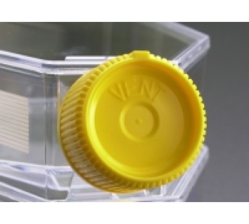 Крышка "VENT" для матраса культурального, 25 см2, стерильная крышка