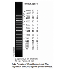 Маркер длин ДНК GeneRuler 1 kb Plus, 15 фрагментов от 75 до 20000 п.н., готовый к применению, 1 мкг/мкл, Thermo FS