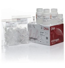 Набор PureLink Quick Gel Extraction Kit, Thermo FS