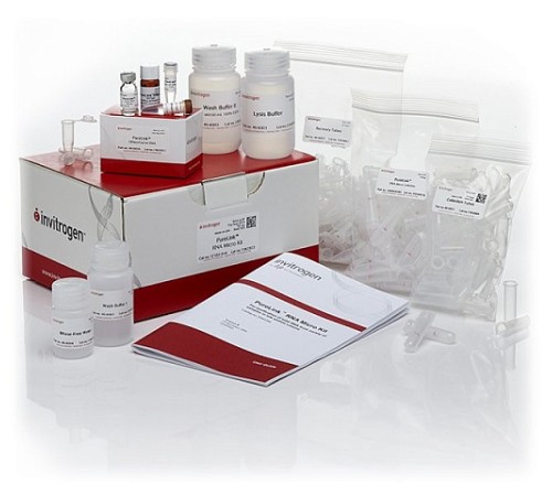 Набор PureLink RNA Micro Scale Kit, Thermo FS Набор PureLink RNA Micro Scale Kit, Thermo FS