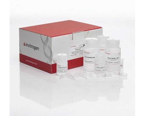 Набор PureLink Quick Gel Extraction and PCR Purification Combo Kit, Thermo FS