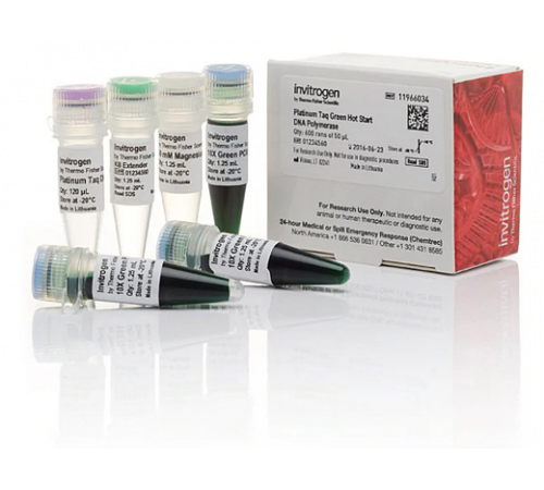 ДНК-полимераза Platinum Taq Green Hot Start DNA Polymerase, Thermo FS