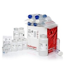 Набор PureLink Expi Endotoxin-Free Maxi Plasmid Purification Kit, Thermo FS