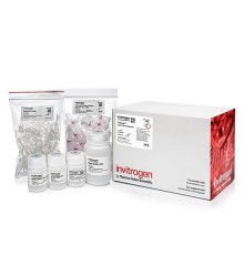 Набор PureLink PCR Purification Kit, Thermo FS