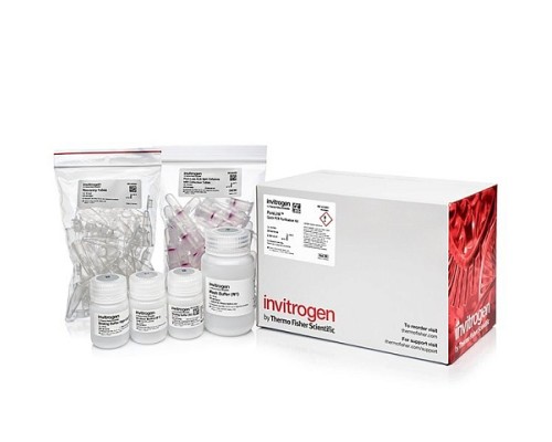 Набор PureLink PCR Purification Kit, Thermo FS
